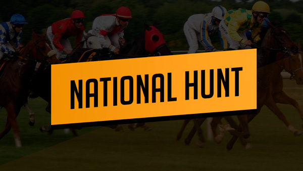 National Hunt 2024/2025 Preview