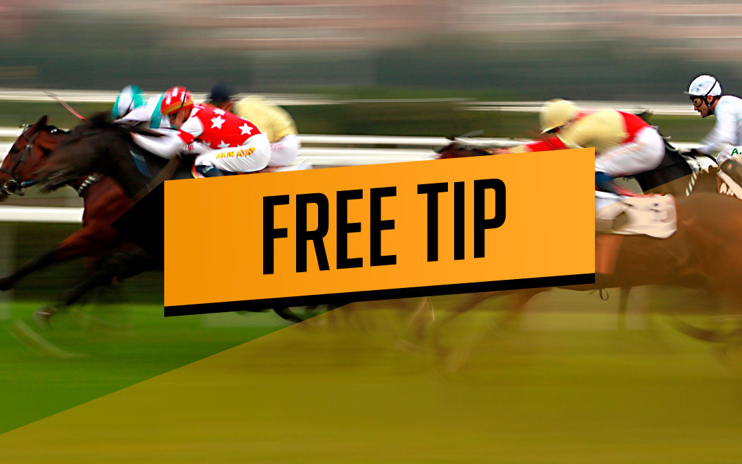 free horse racing guide