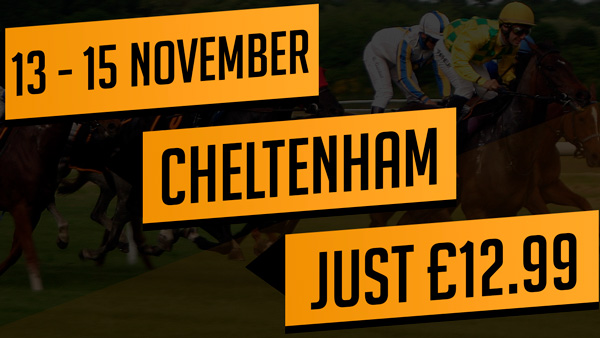 Cheltenham November 2020